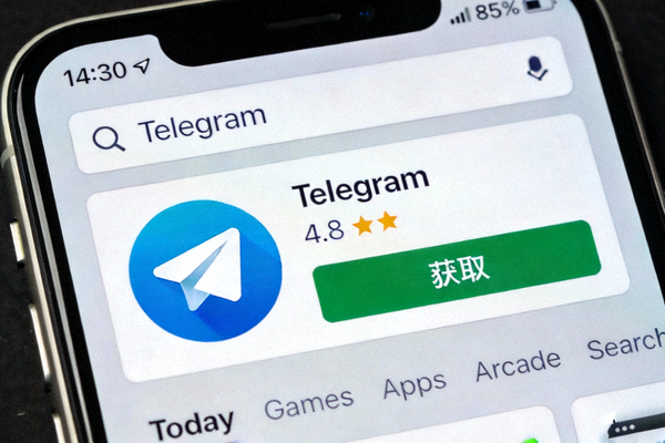 iOS设备通过App Store下载Telegram应用商店界面截图