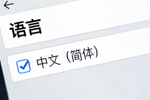 Telegram语言设置页面中选择中文选项的界面截图