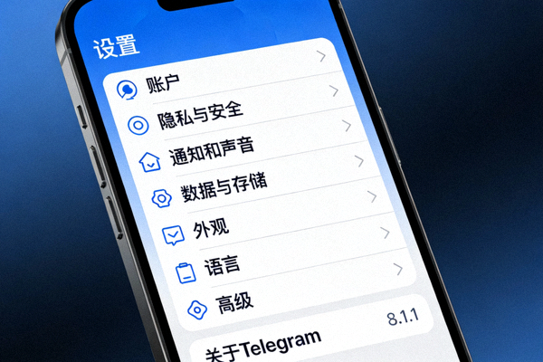 汉化完成后Telegram安卓版的中文设置界面显示效果